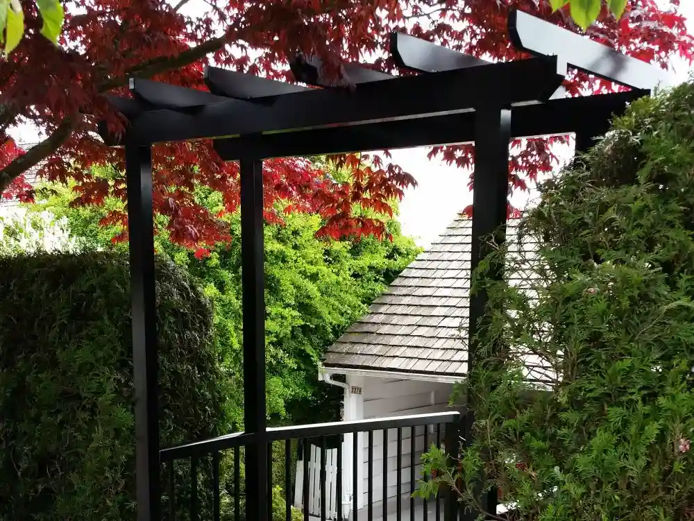 A black pergola stands between green hedges, showcasing expert services in outdoor design, with red